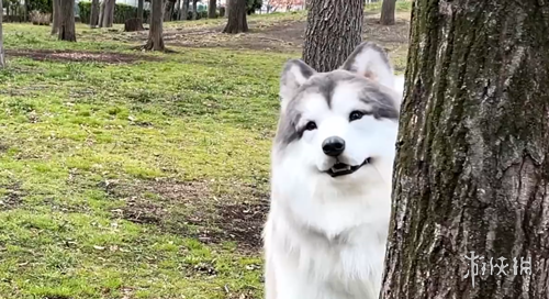 问鼎娱乐下,产品,问鼎娱乐下载,问鼎娱乐官网入口,问鼎娱乐下载,问鼎娱乐官网h5,问鼎娱乐官方网站