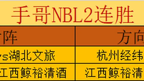 诺维利诺：帕拉蒂奇被誉为“小马洛塔”，是米兰总监梦寐以求的搭档。